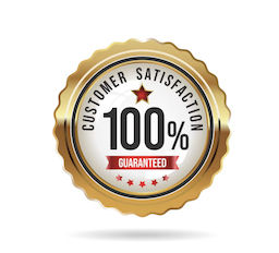 100% Custom Satisfaction with 99.95 Uptime